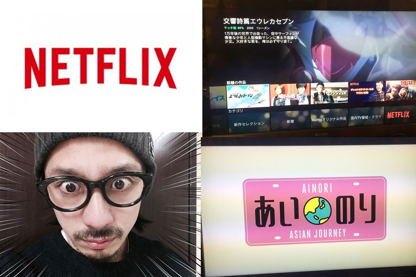 つ、遂に、、入会してしまった。。。。 | どうしても気になる【NETFLIX】